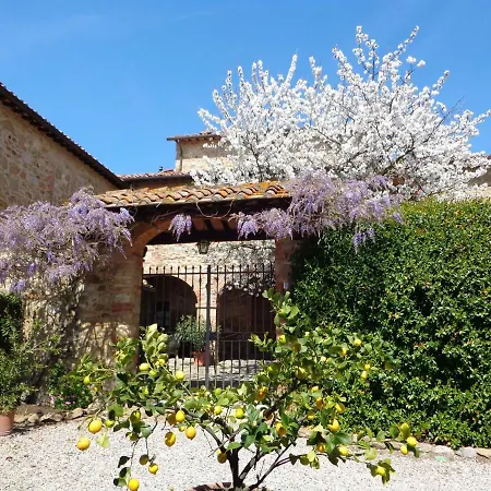 Arco Al Poggio - Arceno Club San Gusmè